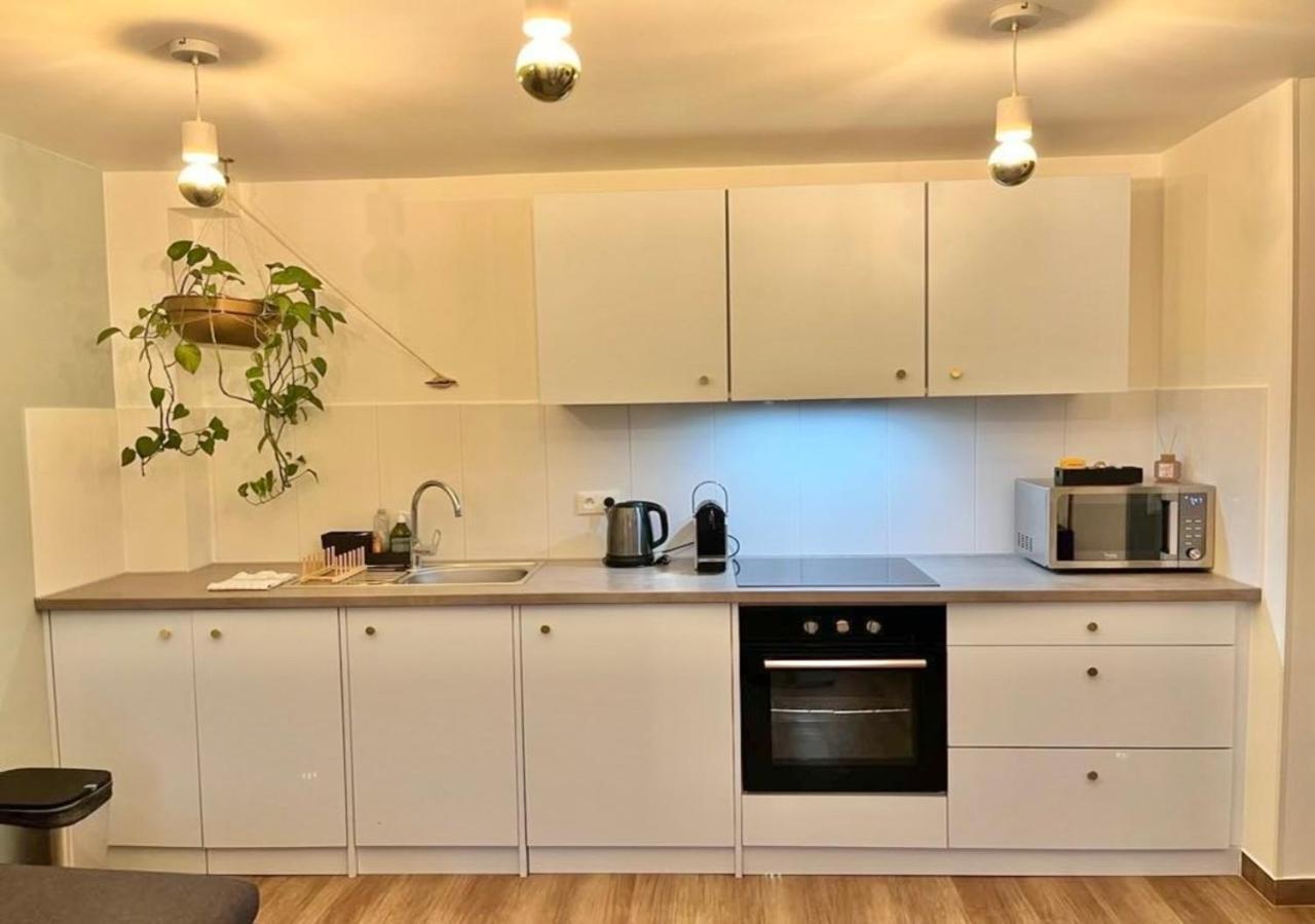 Appartement 2P Strasbourg Centre Esterno foto
